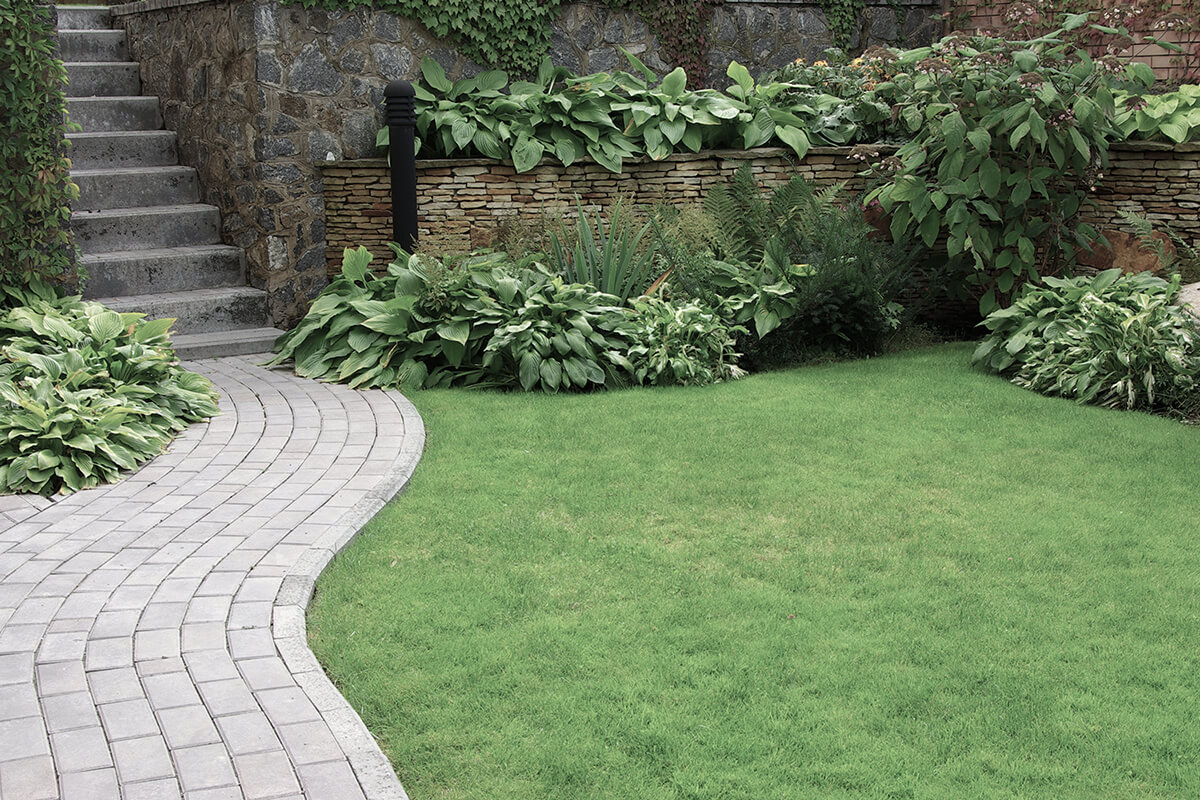 Welcome to Hawkwell Landscaping